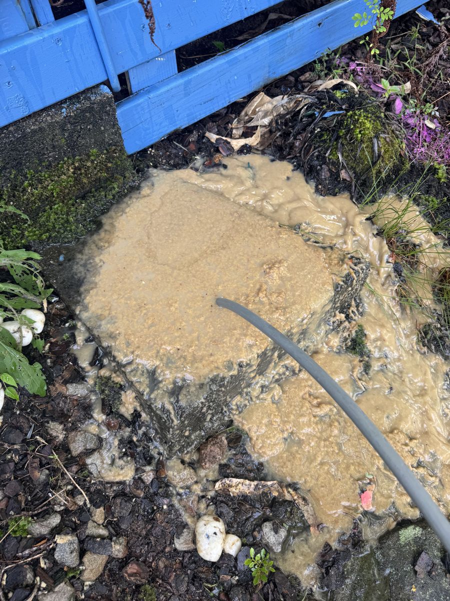 Recent blocked drain job 5