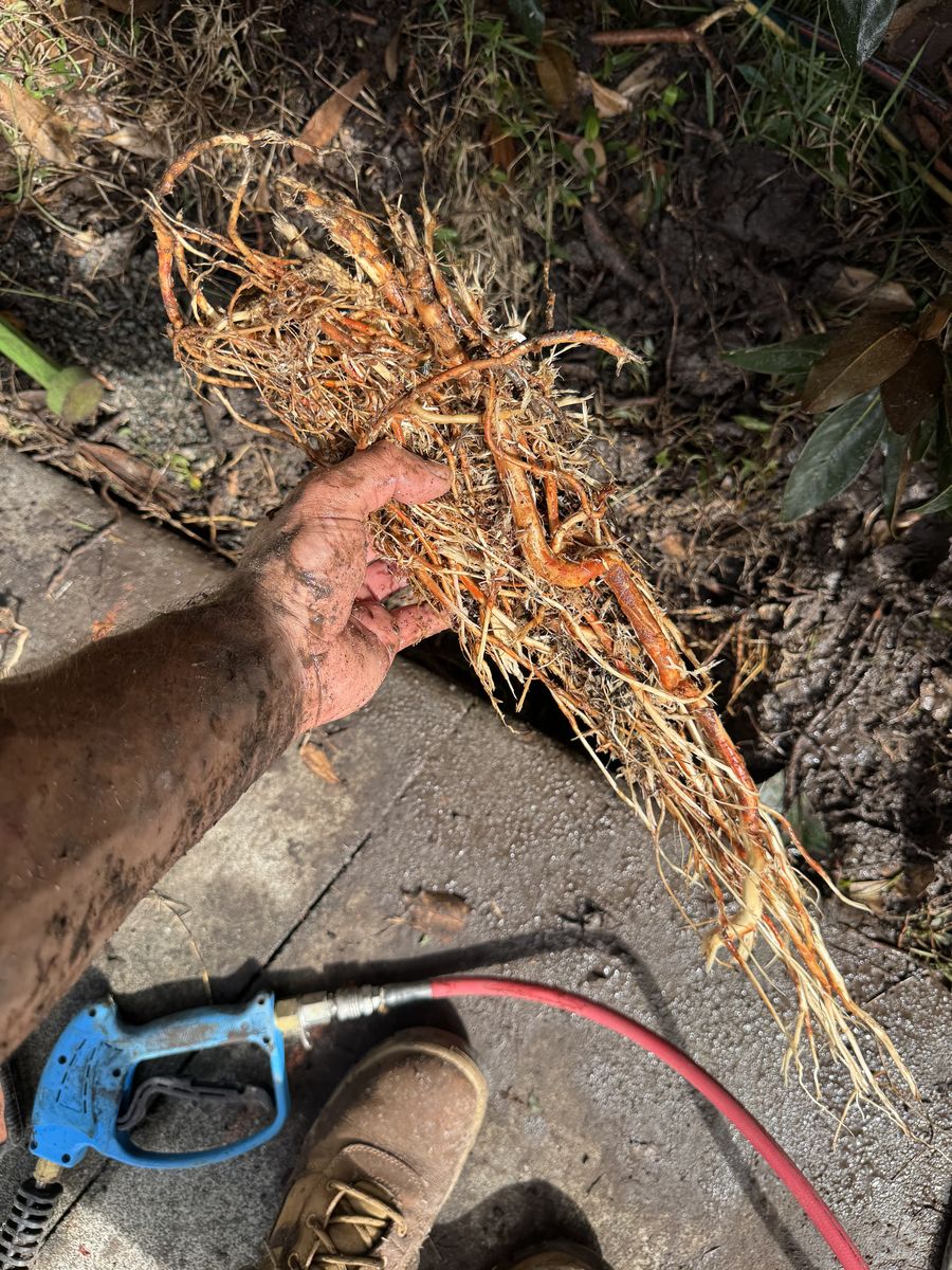 Recent blocked drain job 7
