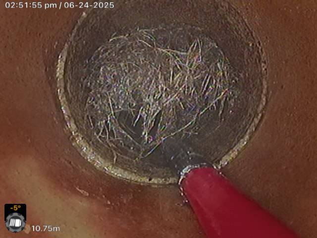 Tree root invasion (Earthenware drain)