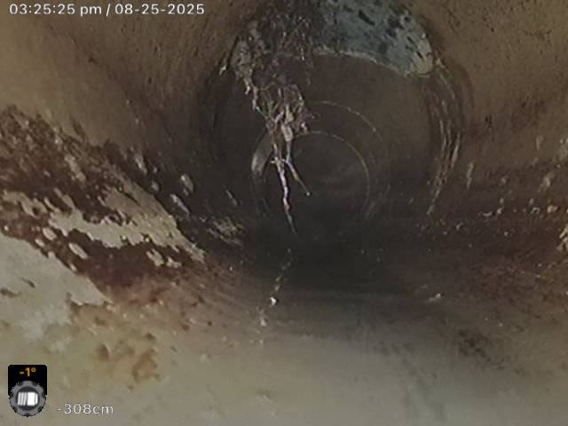 Tree root invasion through existing repair